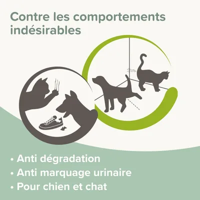 BEAPHAR   Spray Dissuassif Chien-Chat