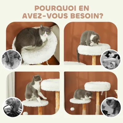 Arbre à chat avec lit poteaux à griffer plateforme de saut