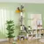Arbre à chat, hauteur 275 cm, 6 niveaux pour chat d'intérieur