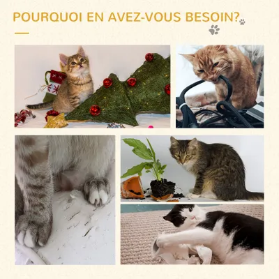 Arbre à chats, centre d'activités variées