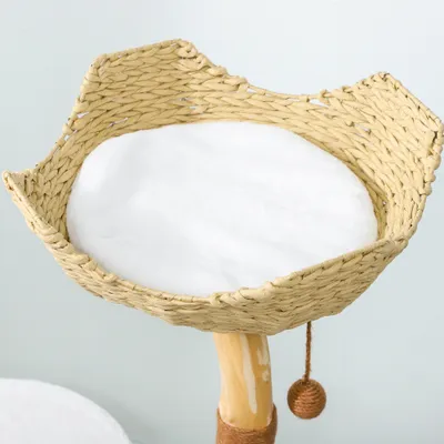 Tour de jeu pour chats, griffoir pour chats