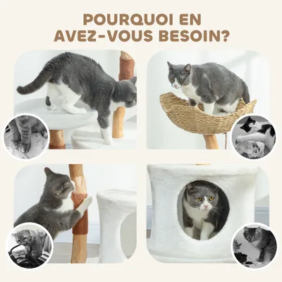 Tour de jeu pour chats, griffoir pour chats