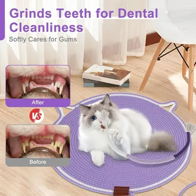 PetTribes Panier grattoir pour chat intérieur - Lavande-42cm PetTribes Panier grattoir pour chat intérieur - Lavande-42cm