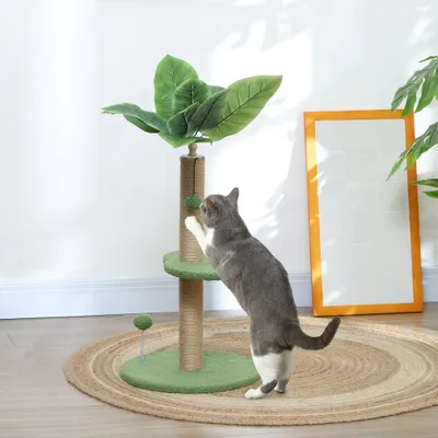 Arbre à chat arbre à grimper pour chat hauteur