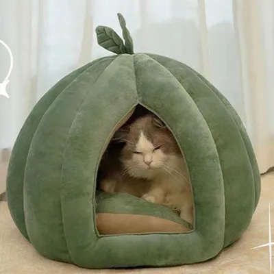 PetTribes Panier pour chat chauffant et capitonné, style cabane