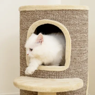 Tonneau à gratter tour à griffer pour chat 2 niveaux