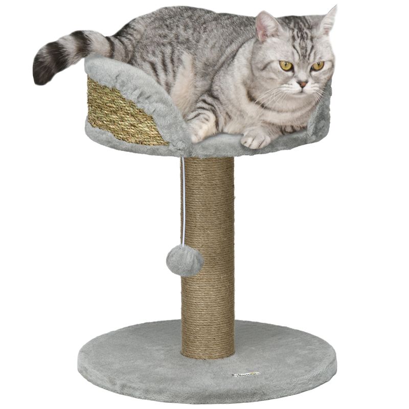 Arbre à chat, griffoir pour chat