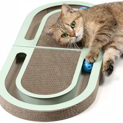 Pawzy Griffoir  Pliable pour Chat Carton