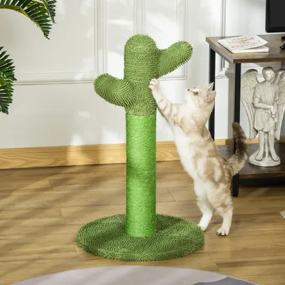 Griffoir pour chat d'intérieur en forme de cactus