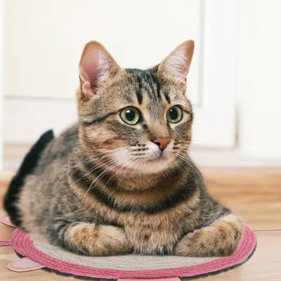 Tapis à griffer pour chat en forme d'ange