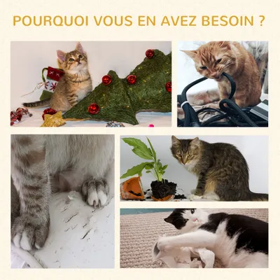 Arbre à chat avec griffoir