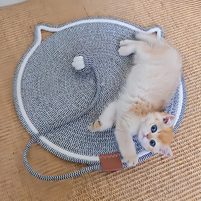 Zoomtopia Catelet de grattage de chat en coton naturel