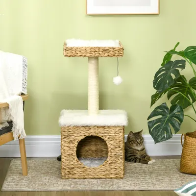 Plateforme de ceinture pour arbre à chat à double couche