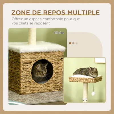 Plateforme de ceinture pour arbre à chat à double couche