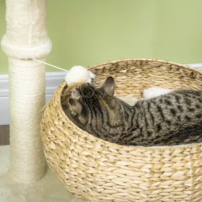 Griffoirs à double couche pour chats