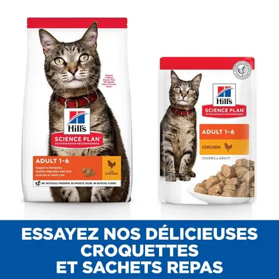 HILL'S - CHAT SCIENCE PLAN ADULT POULET HILL'S - CHAT SCIENCE PLAN ADULT POULET