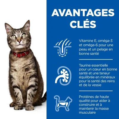 HILL'S - CHAT SCIENCE PLAN ADULT POULET HILL'S - CHAT SCIENCE PLAN ADULT POULET