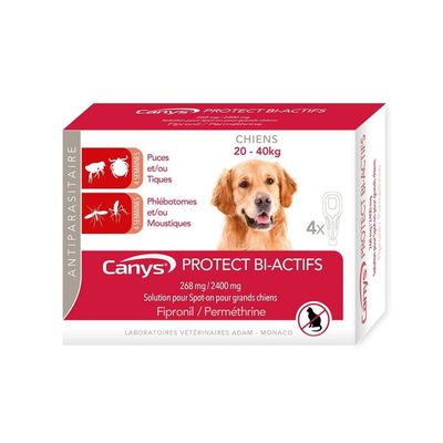 ADAM - Canys Protect - Chien