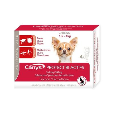 ADAM - Canys Protect - Chien