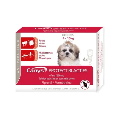 ADAM - Canys Protect - Chien ADAM - Canys Protect - Chien