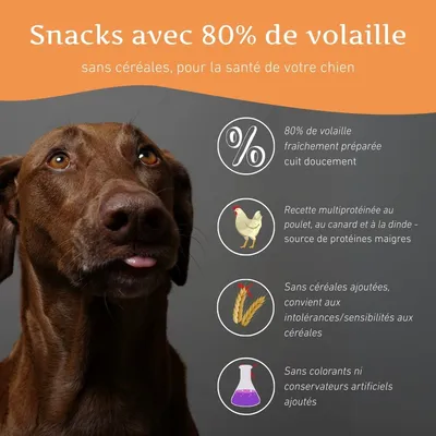 Wildfang Pack Amour de Poulet Sauvage – sans céréales, riche en viande