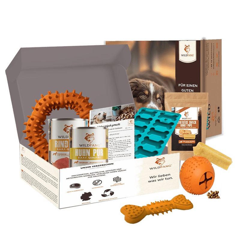 Wildfang Coffret « Boîte Magique » – Surprise, Jeu et Plaisir