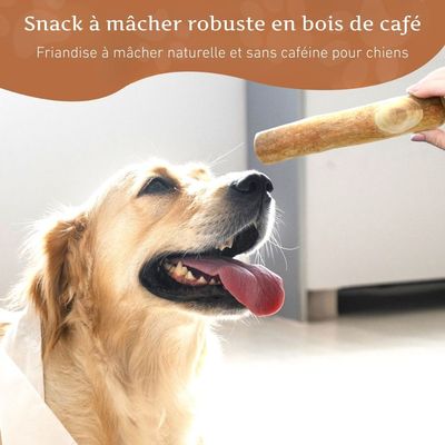 Wildfang Pack chiot XXL « Bienvenue chéri »