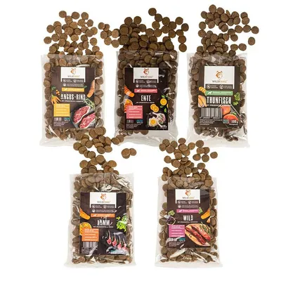 Wildfang Pack « Gourmet» — assortiment gourmand pour chiens