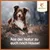 Wildfang Pack chiot « Bienvenue compagnon » Wildfang Pack chiot « Bienvenue compagnon »