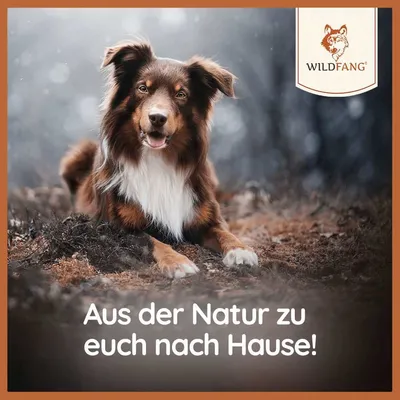 Wildfang Pack chiot « Bienvenue compagnon » Wildfang Pack chiot « Bienvenue compagnon »