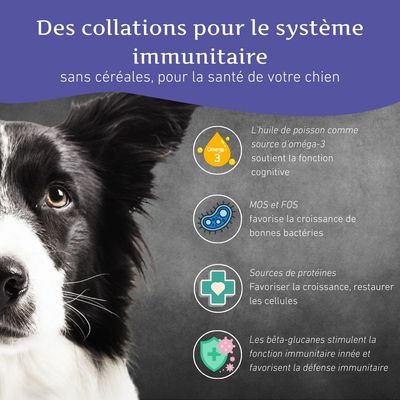 Wildfang "Morgenstunde" — Snacks dentaires et bâtons pour grand chien