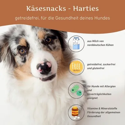 Wildfang "Morgenstunde" — Snacks dentaires et bâtons pour grand chien Wildfang "Morgenstunde" — Snacks dentaires et bâtons pour grand chien