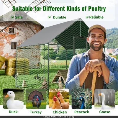 BingoPaw Enclos Poulailler  Parc à Poules Grillagé avec Bâche