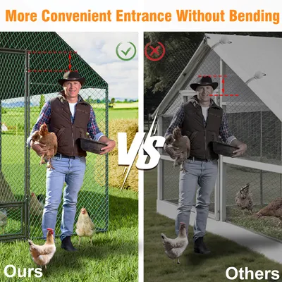 BingoPaw Enclos Poulailler  Parc à Poules Grillagé avec Bâche