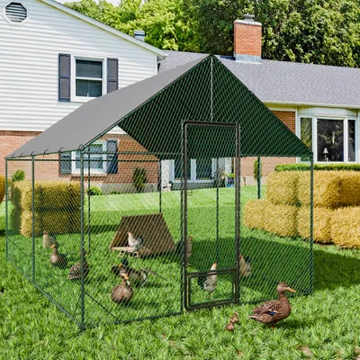 BingoPaw Enclos Poulailler  Parc à Poules Grillagé avec Bâche