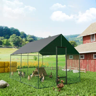BingoPaw Enclos Poulailler Parc à Poules Grillagé avec Bâche