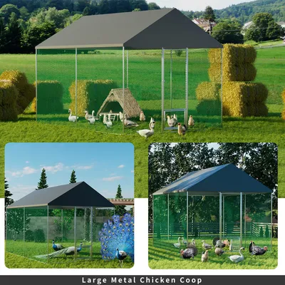 BingoPaw Enclos Poulailler Parc à Poules Grillagé avec Bâche