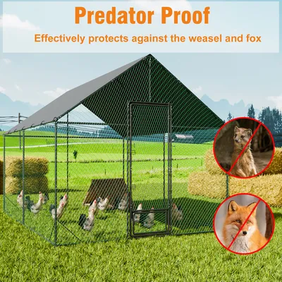 BingoPaw Enclos Poulailler Parc à Poules Grillagé avec Bâche