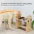 BINGOPAW Raised Pet Bowls, Cat and Small Dog Bowl Station BINGOPAW Raised Pet Bowls, Cat and Small Dog Bowl Station