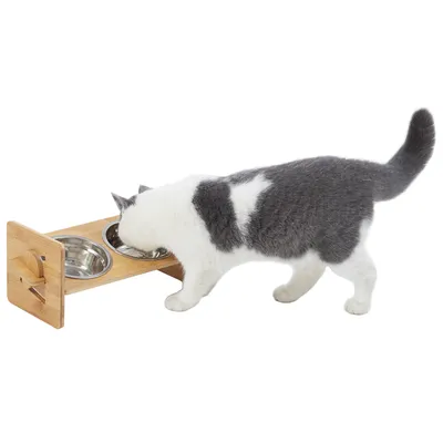 BINGOPAW Raised Pet Bowls, Cat and Small Dog Bowl Station