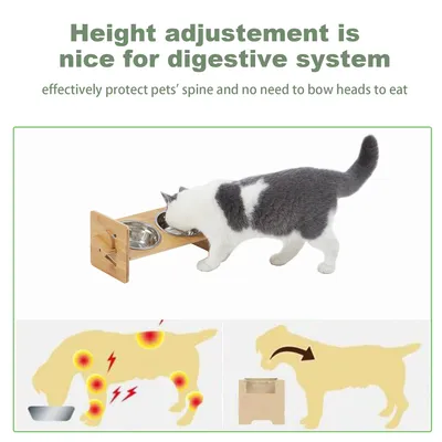 BINGOPAW Raised Pet Bowls, Cat and Small Dog Bowl Station