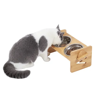 BINGOPAW Raised Pet Bowls, Cat and Small Dog Bowl Station
