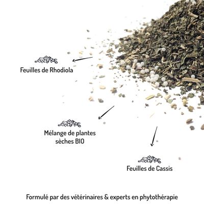 Truffe Moustache – Complément Anti-Stress Naturel Chiens & Chats