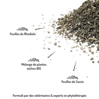 Truffe Moustache – Complément Anti-Stress Naturel Chiens & Chats
