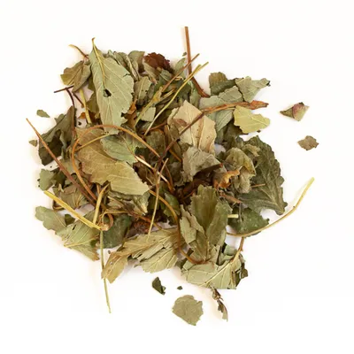 L' Eden des Pattounes Feuilles de Fraisier L' Eden des Pattounes Feuilles de Fraisier