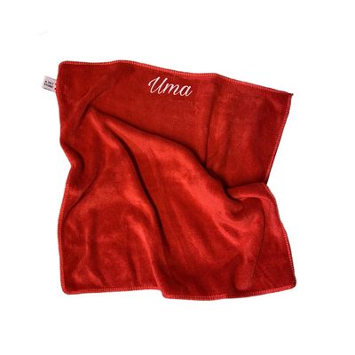 Essuie-Pattes personnalisé pour chiens et chats – Le Royaume des Glaces