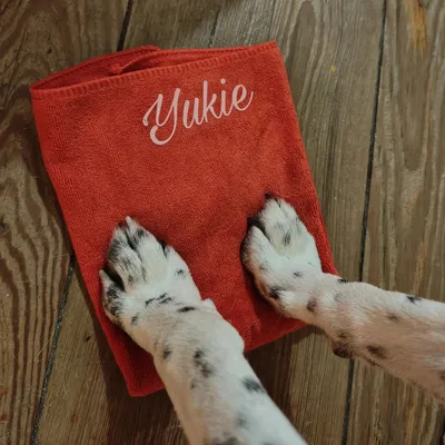Essuie-Pattes personnalisé pour chiens et chats – Le Royaume des Glaces Essuie-Pattes personnalisé pour chiens et chats – Le Royaume des Glaces