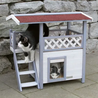 KERBL - Maison pour Chat - Maison de Chat Lodge