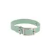 Collier chien silicone menthe S