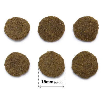 Arquivet - Croquettes pour chien - Original Senior Light